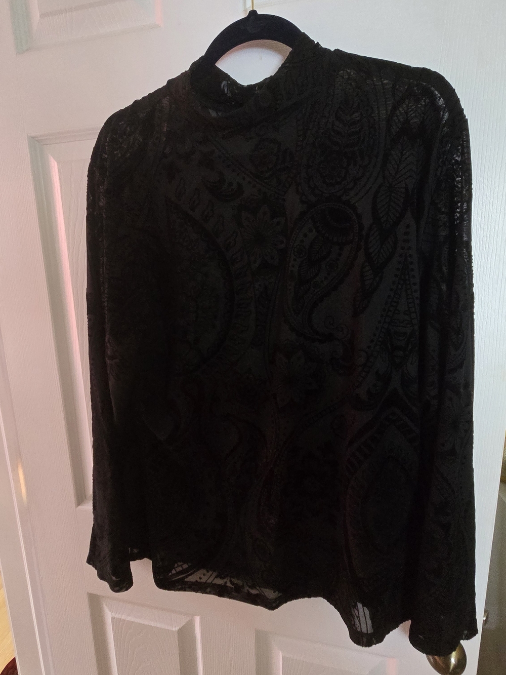 Black Velvet Burnout Mock Neck Long Sleeve Top